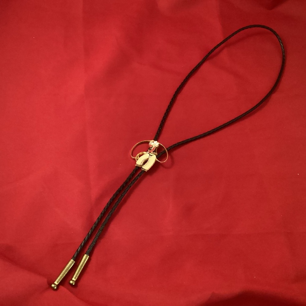 Bolo tie cowboy with lasso